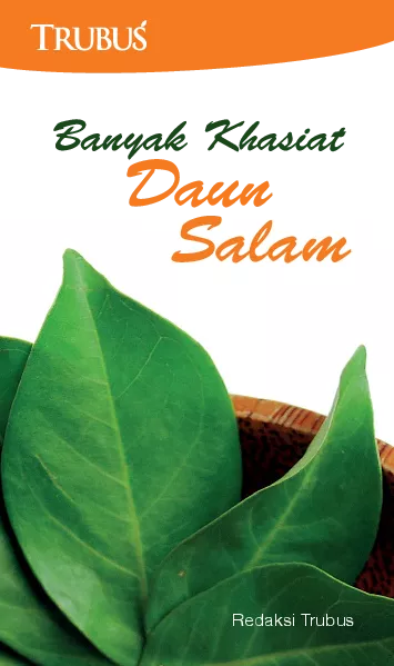 Banyak Khasiat Daun Salam