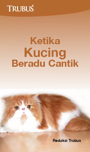 Ketika Kucing Beradu Cantik