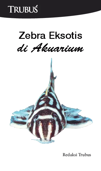 Zebra Eksotis di Akuarium