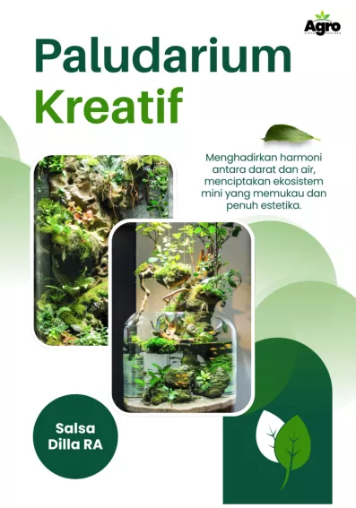 Paludarium Kreatif menghadirkan harmoni antara darat dan air, menciptakan ekosistem mini yang memukau, dan penuh estetika