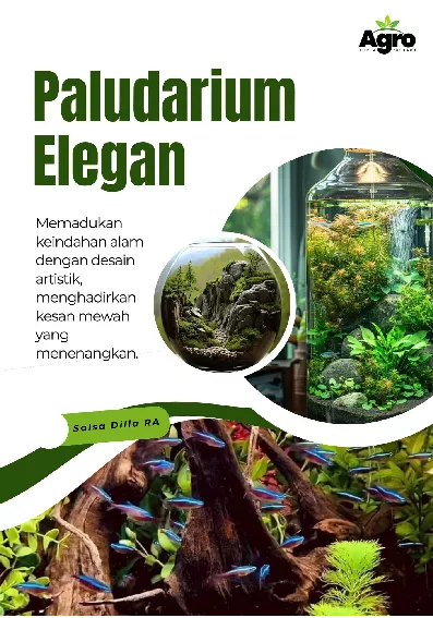 Paludarium Elegan : Memadukan Keindahan Alam dan Artistik Menghadirkan Kesan Mewah Yang Menenangkan