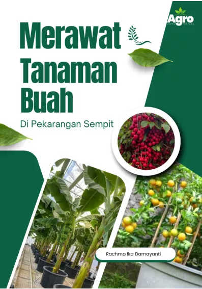 Merawat Tanaman Buah di Pekarangan Sempit