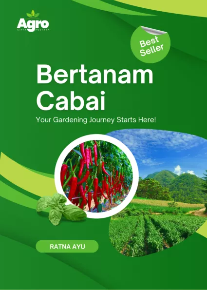 Bertanam Cabai : Your Gardening Journey Starts Here!