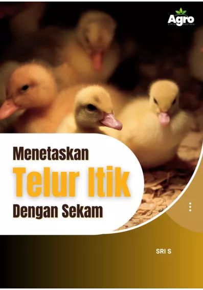Menetaskan Telur itik dengan Sekam