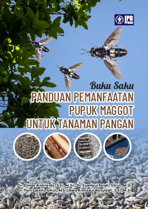 Panduan Pemanfaatan Pupuk Maggot untuk Tanaman Pangan