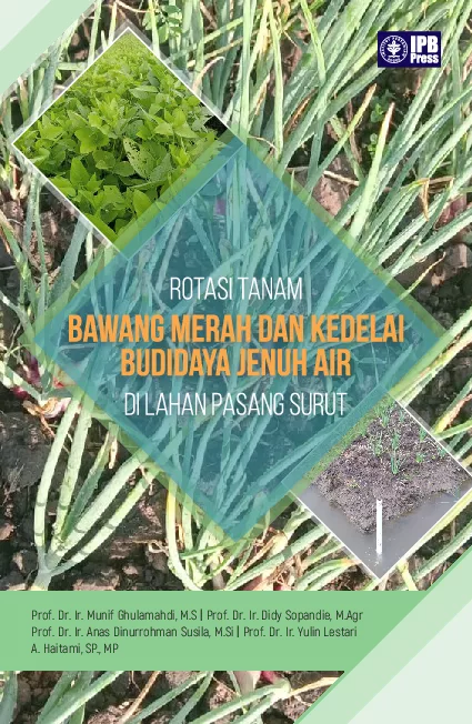 Rotasi Tanam Bawang Merah dan Kedelai Budidaya Jenuh Air di Lahan Pasang Surut