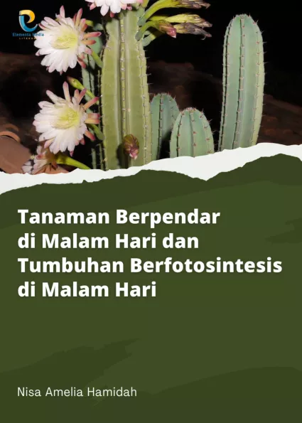 Tanaman Berpendar di Malam Hari dan Tumbuhan Berfotosintesis di Malam Hari