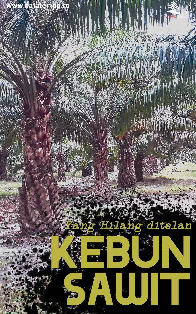 Yang hilang ditelan kebun sawit