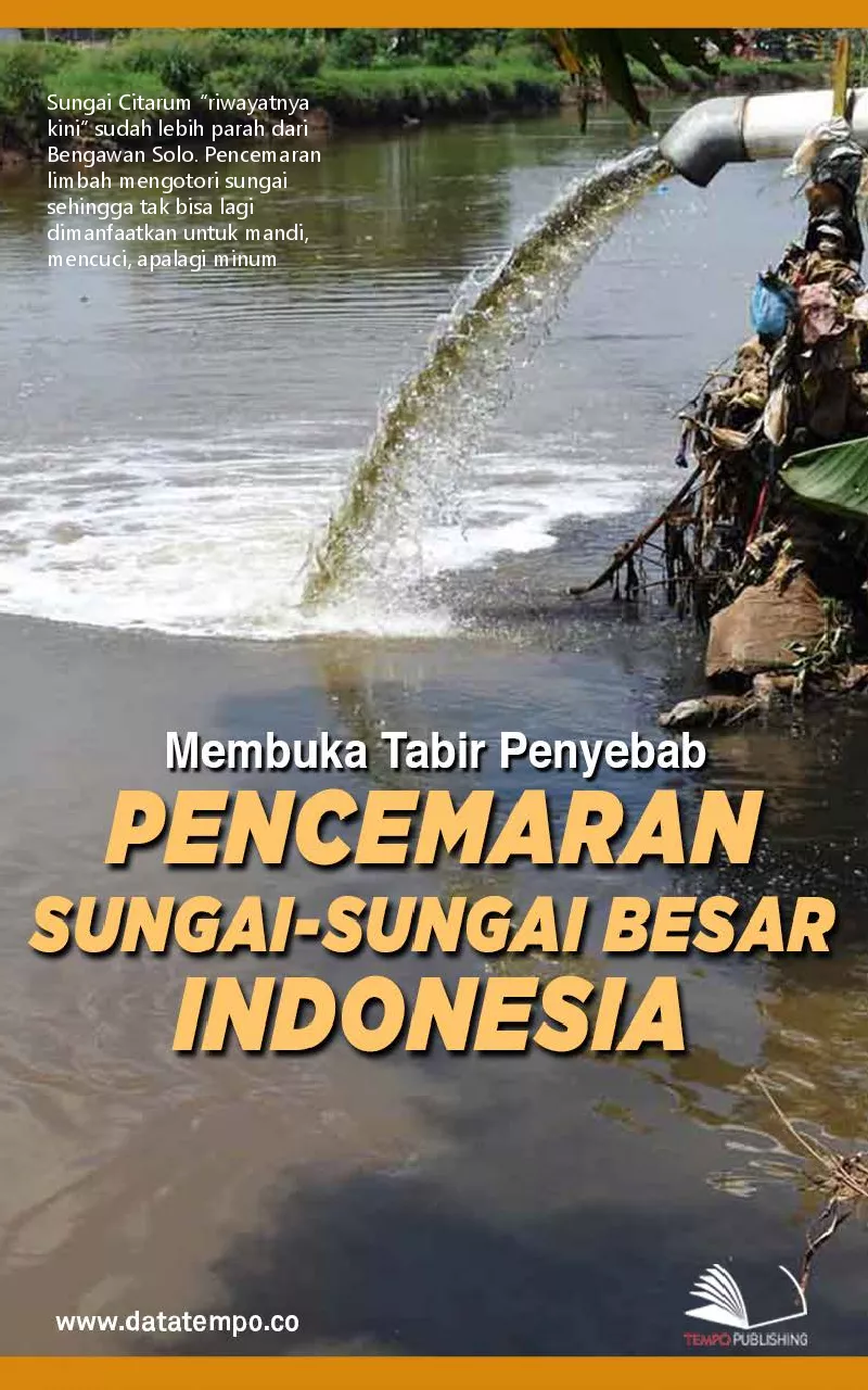 Membuka tabir penyebab pencemaran sungai-sungai besar Indonesia