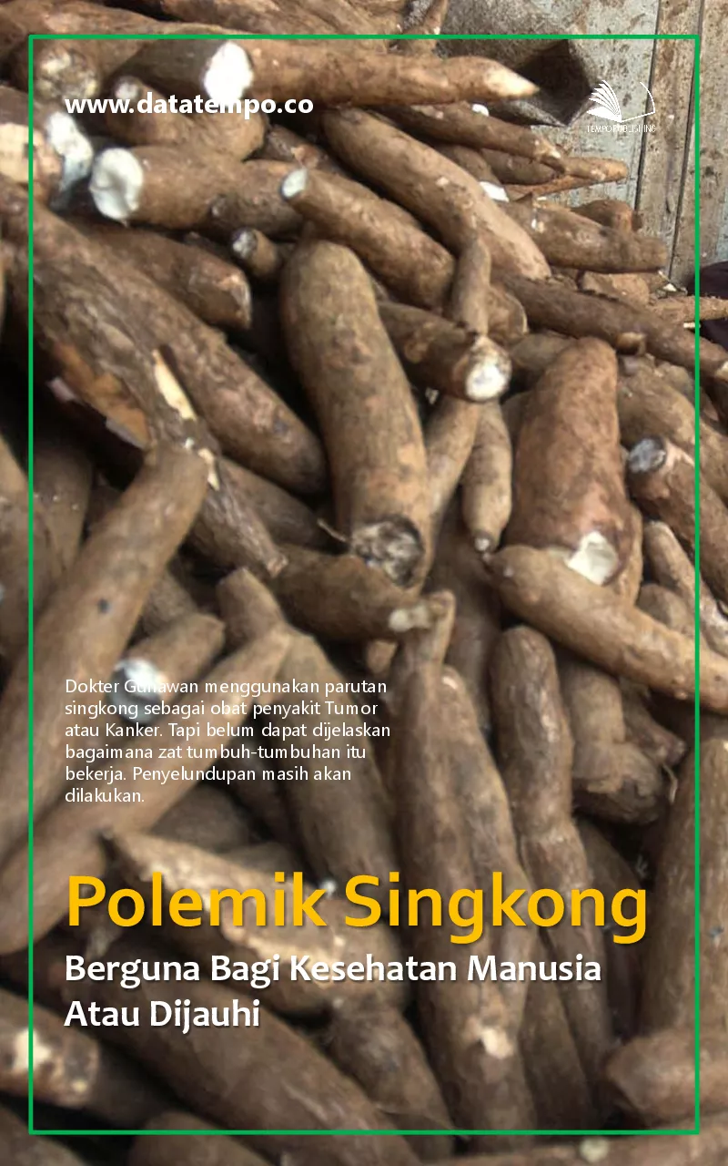 Polemik singkong : berguna bagi kesehatan manusia atau dijauhi