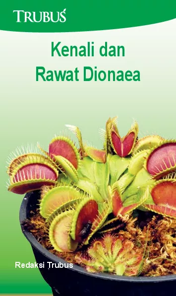 Kenali & Rawat Dionaea