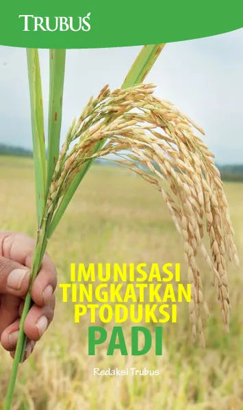 Imunisasi Tingkatkan Produksi Padi