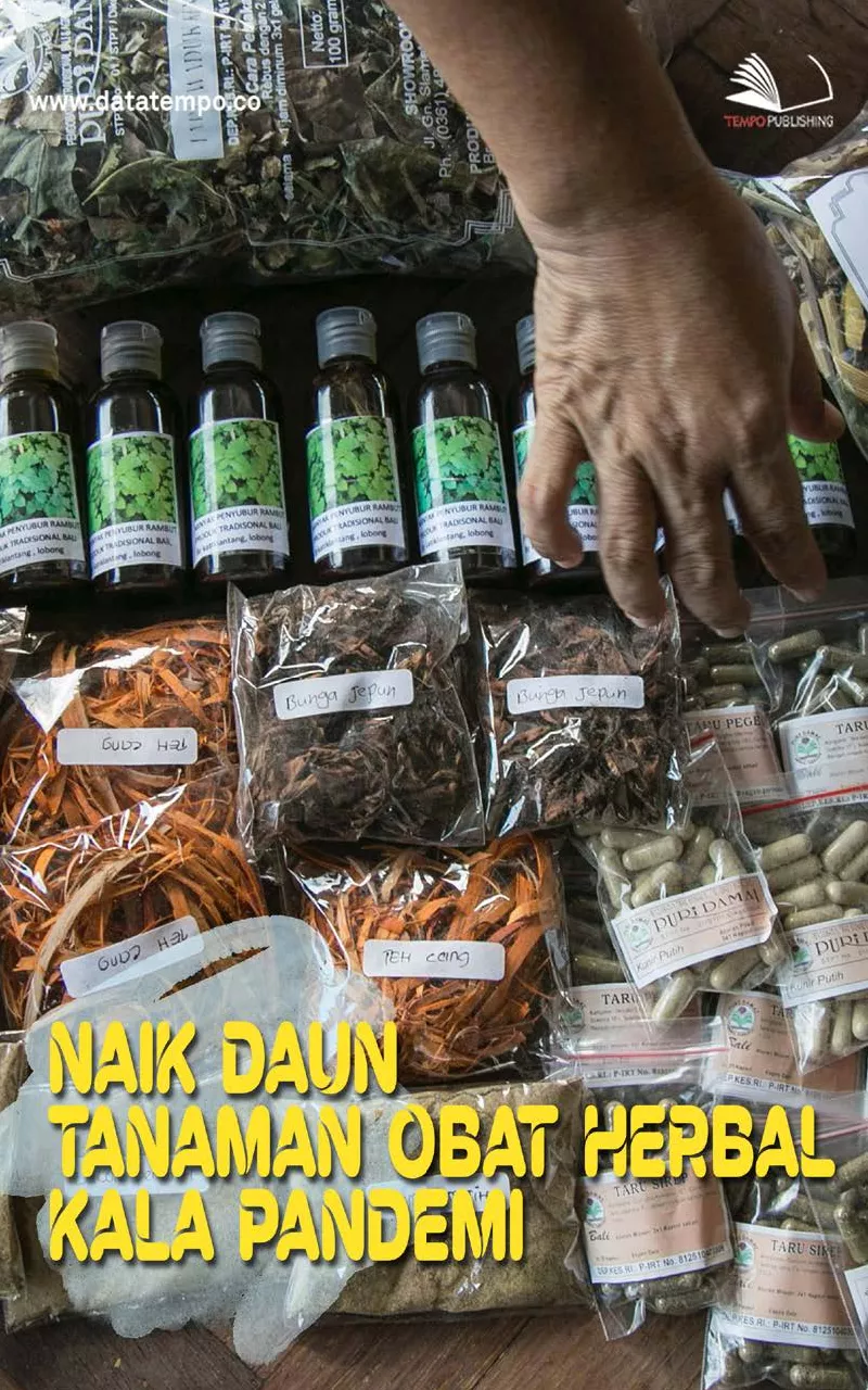 Naik Daun Tanaman Obat Herbal Kala Pandemi