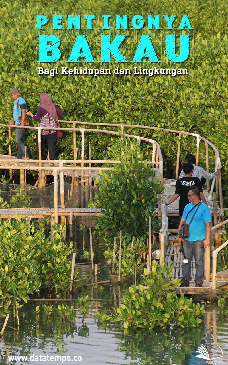 Pentingnya bakau bagi kehidupan dan lingkungan