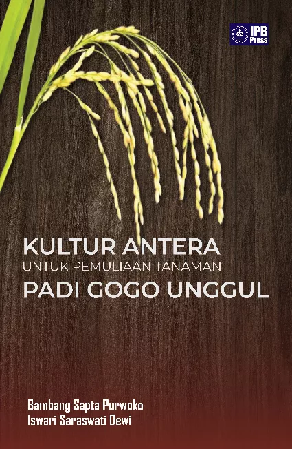 Kultur Antera untuk Pemuliaan Tanaman Padi Gogo Unggul