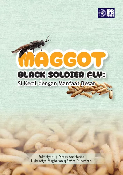 Maggot Black Soldier Fly: Si Kecil dengan Manfaat Besar