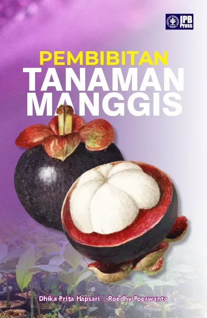Pembibitan Tanaman Manggis