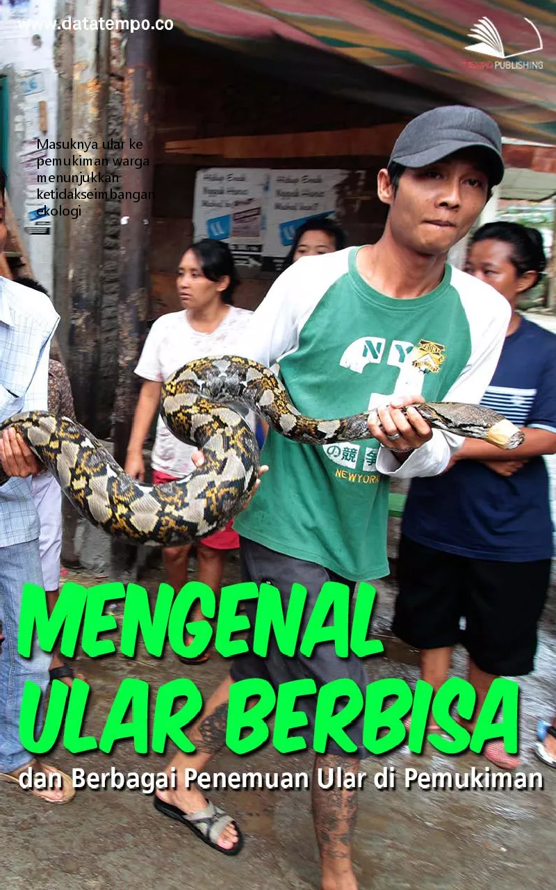 Mengenal ular berbisa dan berbagai penemuan ular di pemukiman