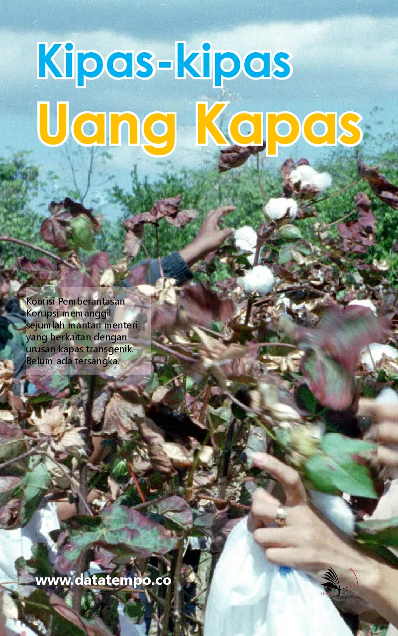 Kipas-kipas uang kapas