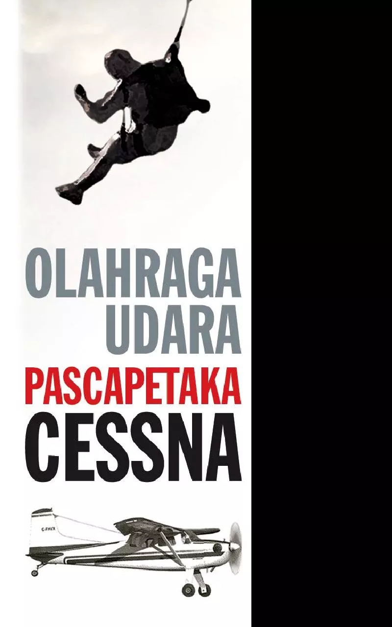 Olahraga Udara Pasca Petaka Cessna