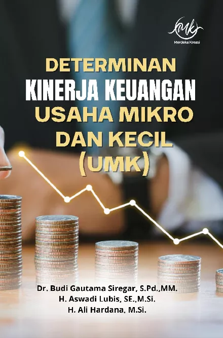 Determinan kinerja keuangan usaha mikro dan kecil (UMK)