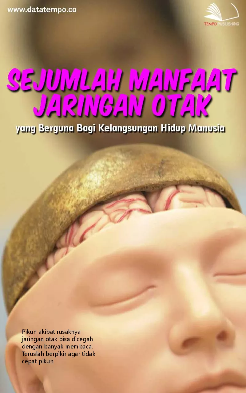 Sejumlah manfaat jaringan otak yang berguna bagi kelangsungan hidup manusia