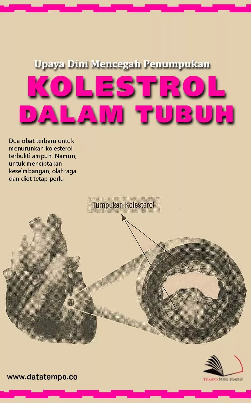 Upaya dini mencegah penumpukan kolestrol dalam tubuh