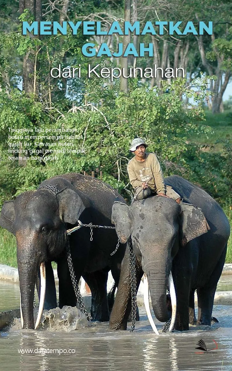 Menyelamatkan gajah dari kepunahan