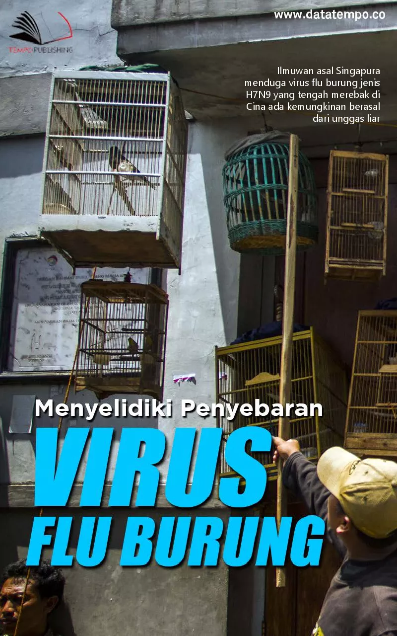 Menyelidiki penyebaran virus flu burung