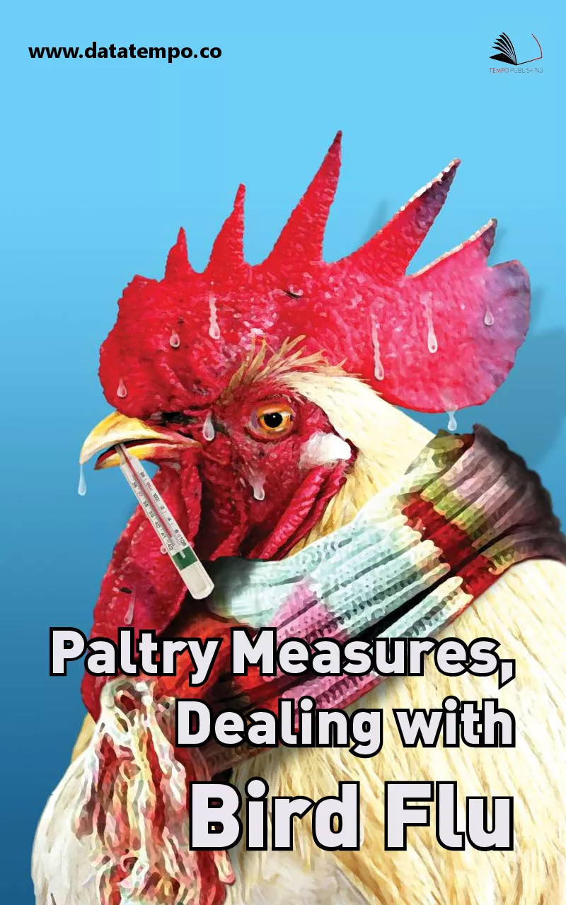 Paltry measures, dealing with bird flu