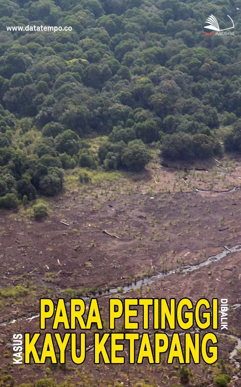 Para petinggi di balik kasus kayu Ketapang