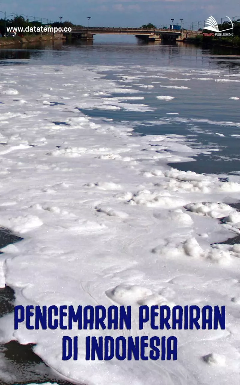 Pencemaran perairan di Indonesia