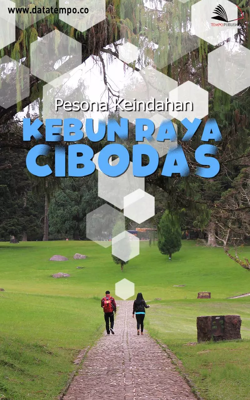 Pesona keindahan Kebun Raya Cibodas