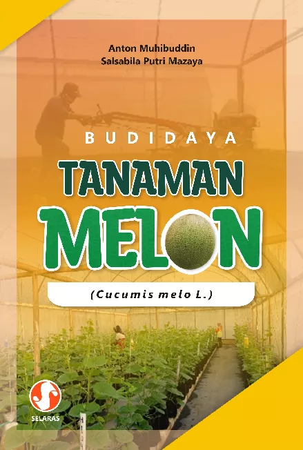 BUDIDAYA TANAMAN MELON