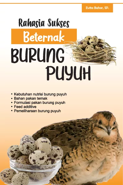 Rahasia sukses beternak burung puyuh