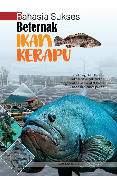Rahasia sukses beternak ikan kerapu