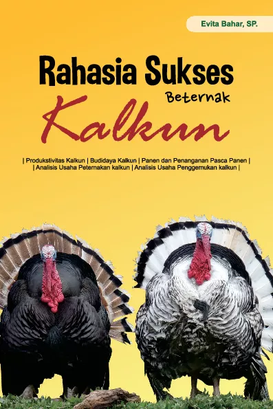 Rahasia sukses beternak kalkun