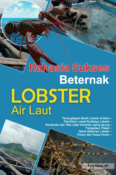 Rahasia sukses beternak lobster air laut