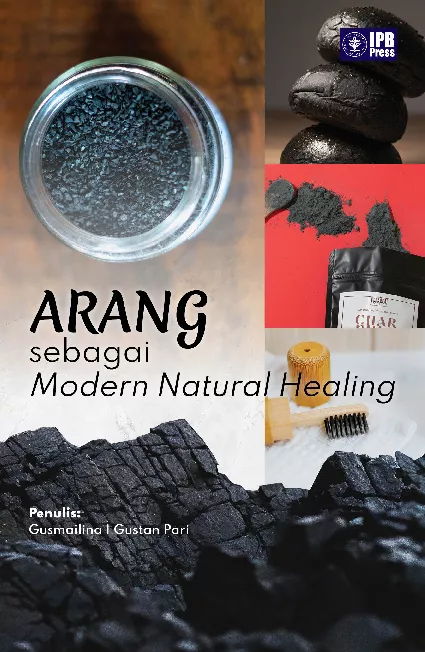Arang Sebagai Modern Natural Healing