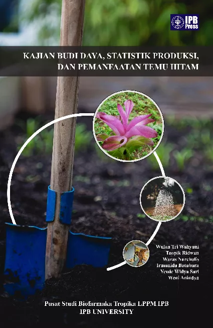 Kajian Budi Daya, Statistik Produksi, dan Pemanfaatan Temu Hitam