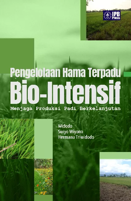 Pengelolaan Hama Terpadu Bio-Intensif Menjaga Produksi Padi Berkelanjutan