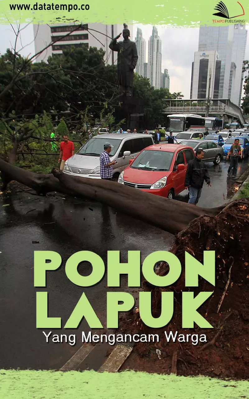 Pohon lapuk yang mengancam warga