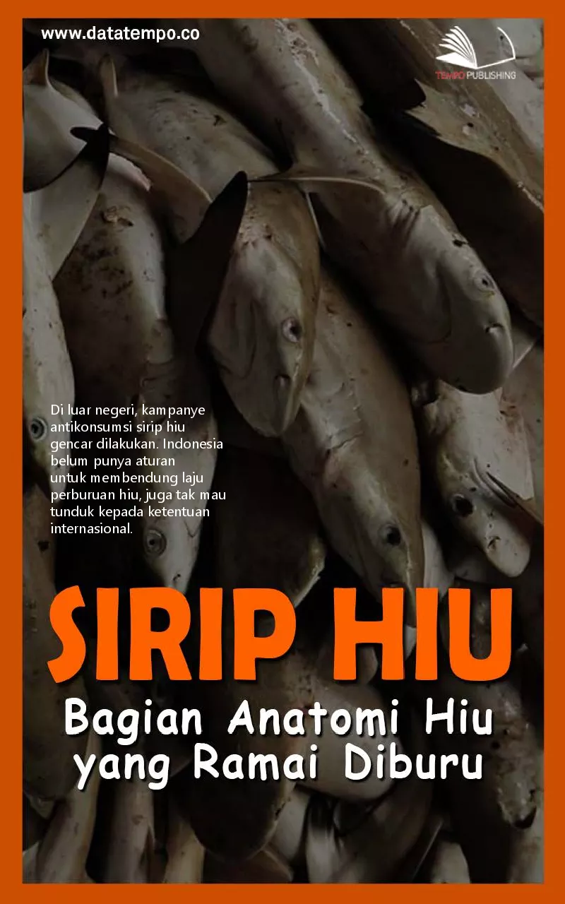 Sirip hiu, bagian anatomi hiu yang ramai diburu