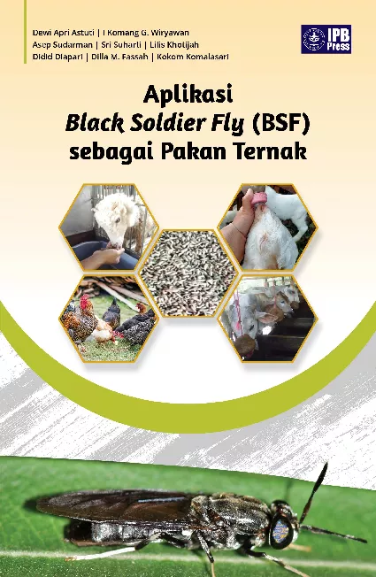 Aplikasi Black Soldier Fly (BSF) sebagai Pakan Ternak