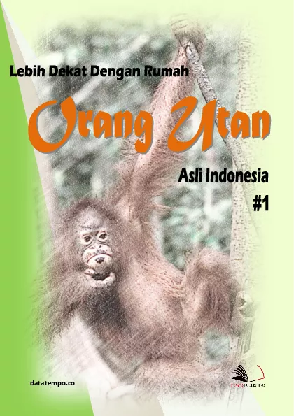 Lebih Dekat Dengan Rumah Orang Utan Asli Indonesia