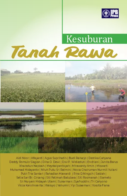 Kesuburan Tanah Rawa