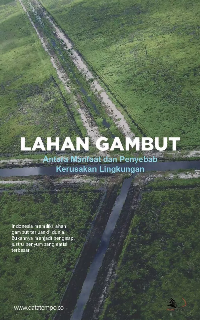 Lahan gambut antara manfaat dan penyebab kerusakan lingkungan