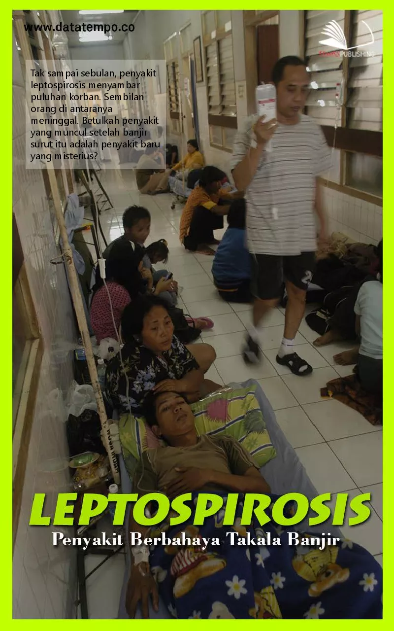 Leptospirosis penyakit berbahaya takala banjir