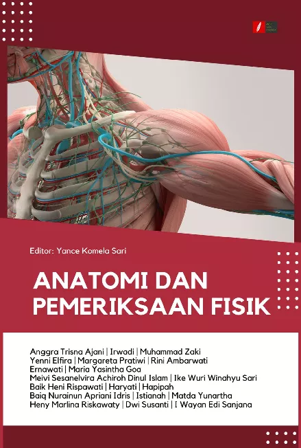 ANATOMI DAN PEMERIKSAAN FISIK