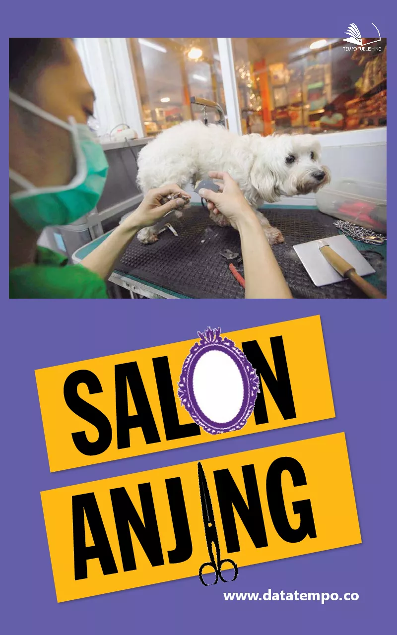 Salon anjing
